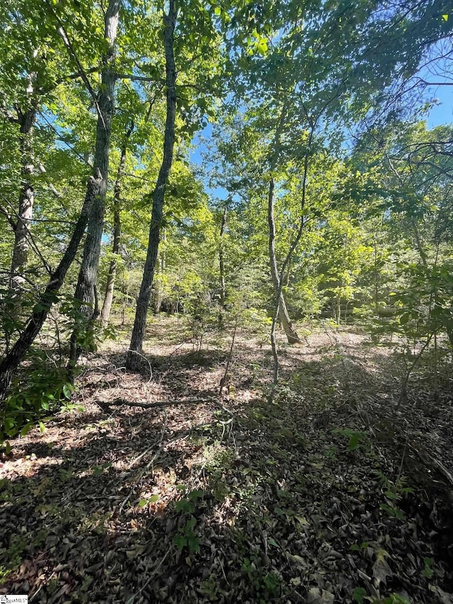 00 Jordan Rd, Greer, SC 29651