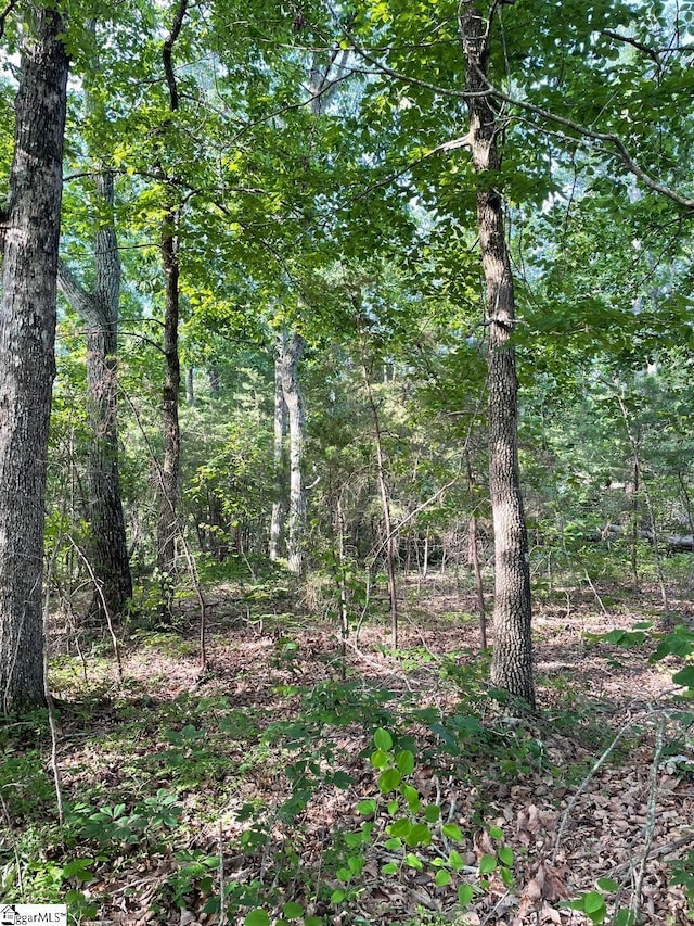00 Jordan Rd, Greer, SC 29651