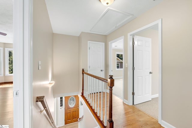 28 Bernwood Dr, Taylors, SC 29687 - corridor featuring an upstairs landing, attic access, light wood finished floors, and plenty of natural light