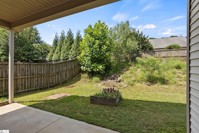 239 Applehill Way, Simpsonville, SC 29681 - view of yard featuring a patio