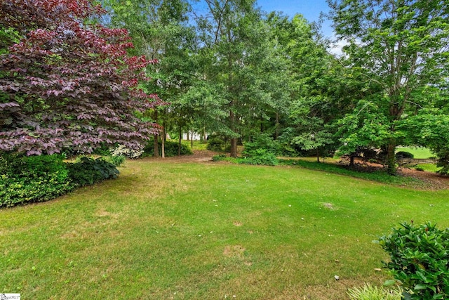 27 Grossmont Dr, Fountain Inn, SC 28644 - view of green lawn