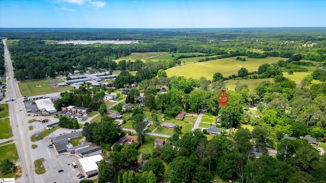 302 Spruce St, Clinton, SC 29325 - aerial view of property's location with a forest