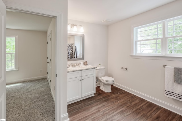 101 Poplar Ave, Belton, SC 29627 - full bathroom with vanity, baseboards, toilet, and plenty of natural light