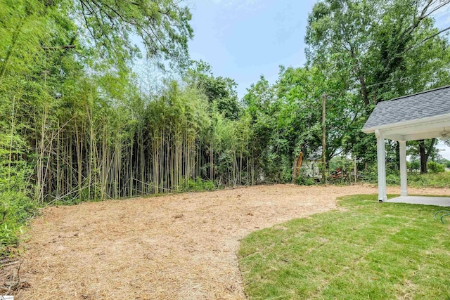 101 Poplar Ave, Belton, SC 29627 - view of grassy yard with a patio