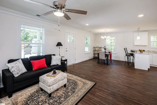 101 Poplar Ave, Belton, SC 29627 - living room with dark wood-style floors, plenty of natural light, a chandelier, crown molding, and baseboards