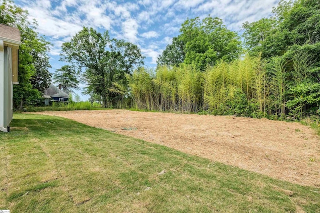 106 N St, Belton, SC 29627 - view of yard