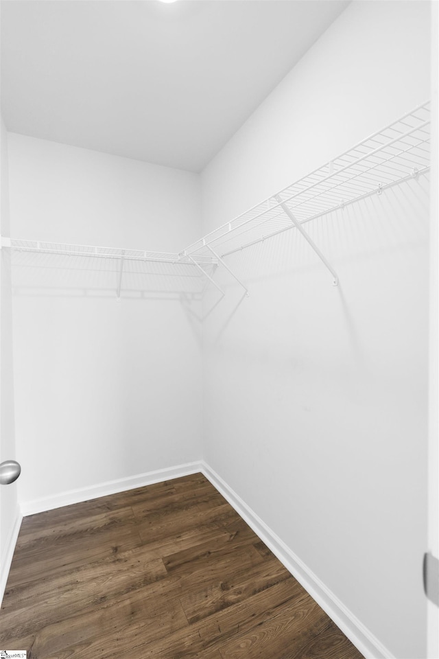 1072 Longstone Way, Spartanburg, SC 29306 - walk in closet with dark wood-style floors
