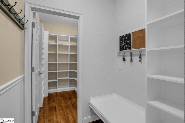 67 Devonhall Way, Taylors, SC 29687 - mudroom featuring wood finished floors