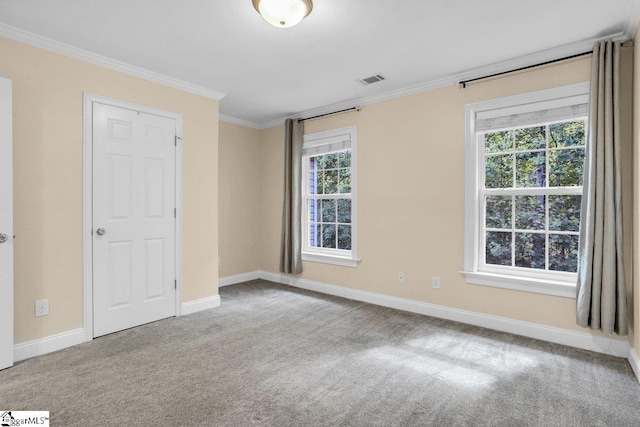 67 Devonhall Way, Taylors, SC 29687 - unfurnished bedroom featuring ornamental molding, baseboards, and carpet flooring