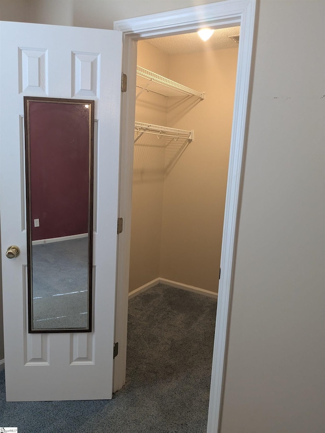 7 Willow Wood Ct, Taylors, SC 29687 - spacious closet featuring carpet floors