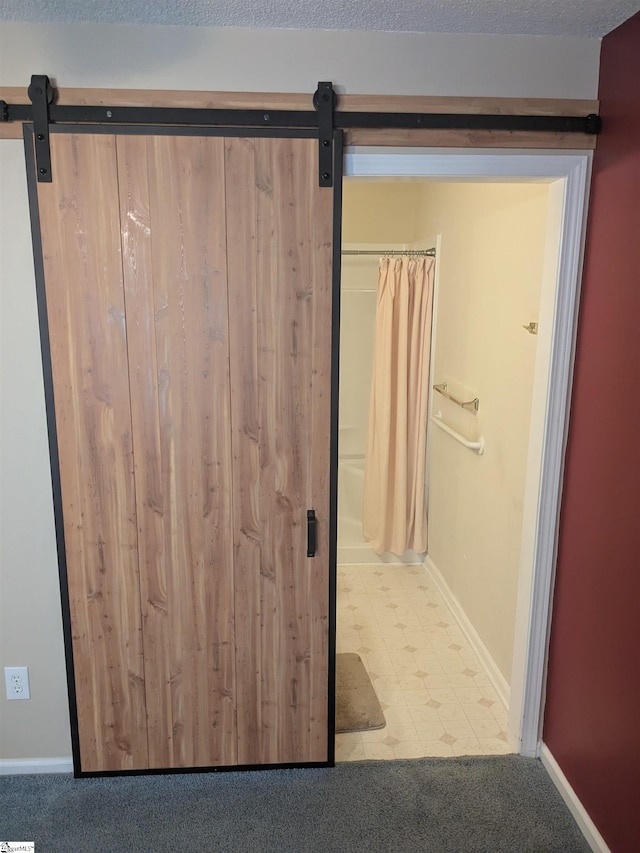 7 Willow Wood Ct, Taylors, SC 29687 - view of closet