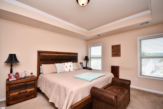 200 Marshfield Ct, Easley, SC 29642 - carpeted bedroom featuring ornamental molding, a raised ceiling, and baseboards