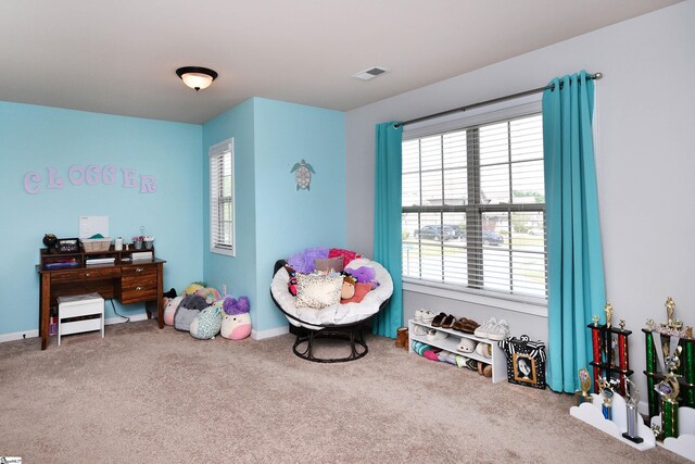 200 Marshfield Ct, Easley, SC 29642 - rec room featuring carpet floors and healthy amount of natural light