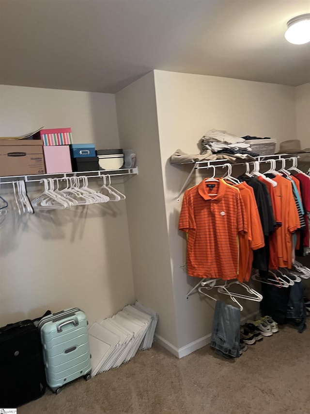 112 Cameron Creek Ln, Simpsonville, SC 29681 - spacious closet featuring carpet