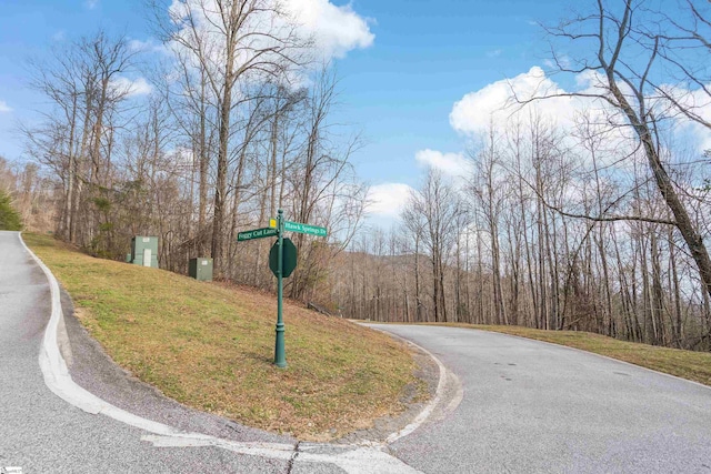 35 Foggy Cut Ln, Landrum, SC 29356