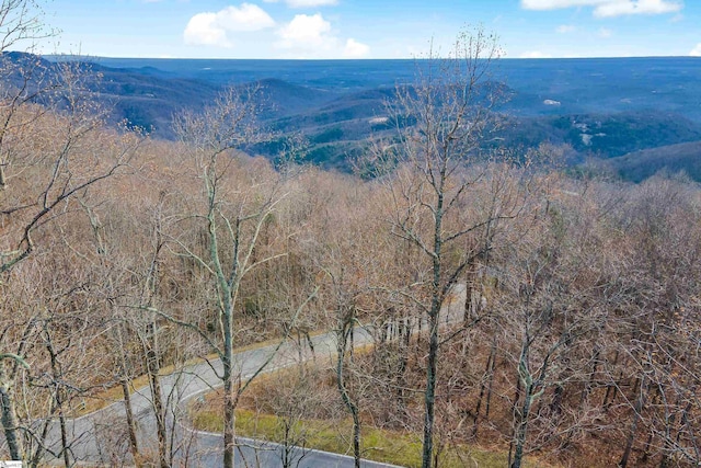 35 Foggy Cut Ln, Landrum, SC 29356