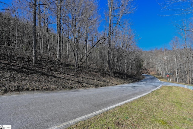 35 Foggy Cut Ln, Landrum, SC 29356