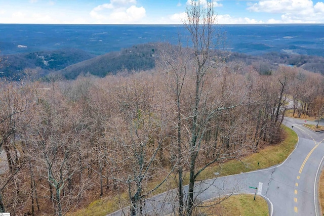 35 Foggy Cut Ln, Landrum, SC 29356