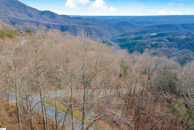 35 Foggy Cut Ln, Landrum, SC 29356