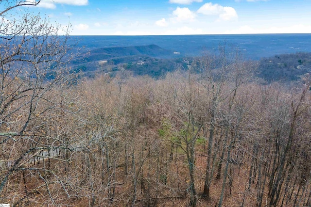 35 Foggy Cut Ln, Landrum, SC 29356
