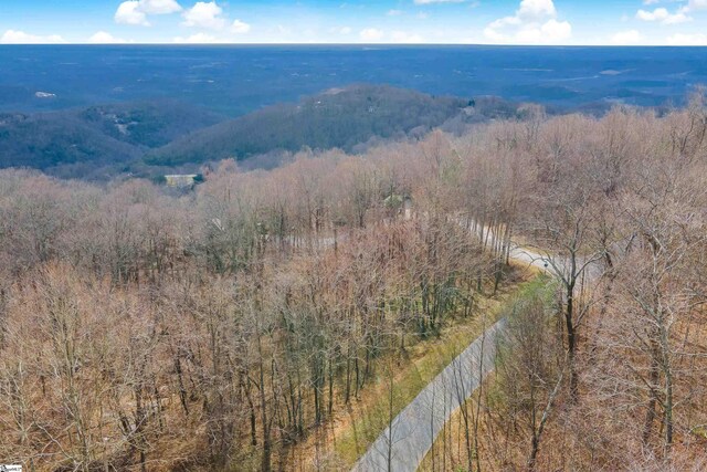 35 Foggy Cut Ln, Landrum, SC 29356