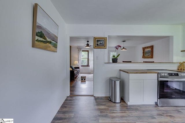 145 Rosewood Cir, Duncan, SC 29334 - kitchen with stainless steel range with electric stovetop, wood finished floors, white cabinetry, pendant lighting, and a ceiling fan