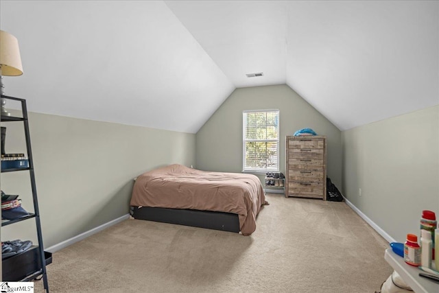 3 Clifford Ct, Simpsonville, SC 29681 - bedroom featuring carpet flooring, lofted ceiling, and baseboards