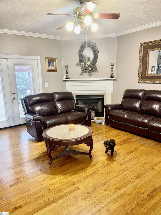 191 Amberwood Dr, Anderson, SC 29621 - living room with wood finished floors, a ceiling fan, ornamental molding, a fireplace, and a textured ceiling