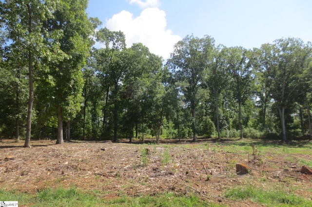 120 Shirley Store Rd Lot 3001, Anderson, SC 29621 - view of undeveloped land