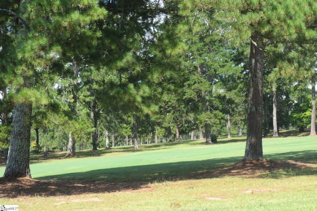 120 Shirley Store Rd Lot 3001, Anderson, SC 29621 - view of property's community featuring a yard
