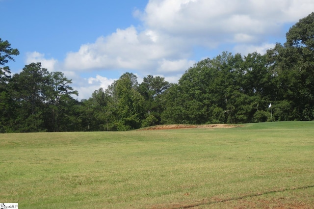 120 Shirley Store Rd Lot 3001, Anderson, SC 29621 - view of green lawn