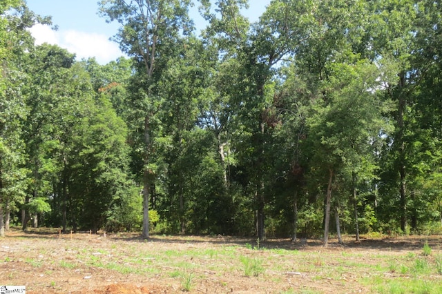 120 Shirley Store Rd Lot 3001, Anderson, SC 29621 - view of tree filled area