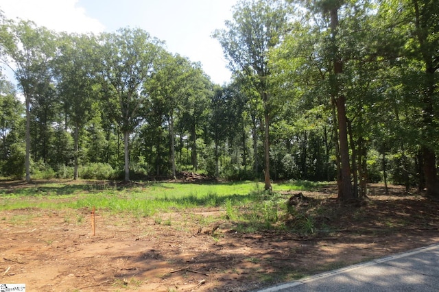 120 Shirley Store Rd Lot 3001, Anderson, SC 29621 - view of nature
