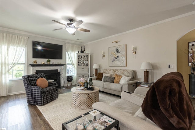 111 Crisp Cameo Ct, Greer, SC 29651 - living room featuring arched walkways, wood finished floors, a ceiling fan, a glass covered fireplace, and ornamental molding