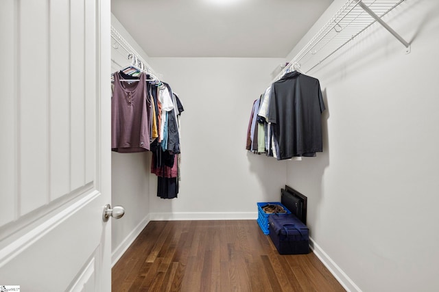 26 Briarcliff Dr, Greenville, SC 29607 - walk in closet with dark wood-style floors