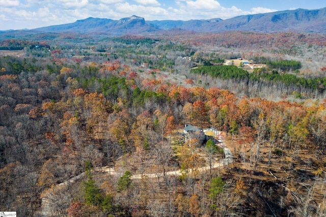 183 Wittmore Ln, Cleveland, SC 29635 - view of mountain backdrop with a forest