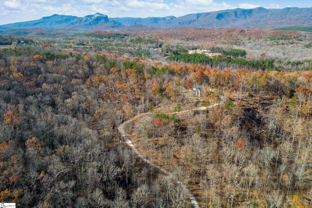 183 Wittmore Ln, Cleveland, SC 29635 - bird's eye view of a mountain backdrop and a heavily wooded area