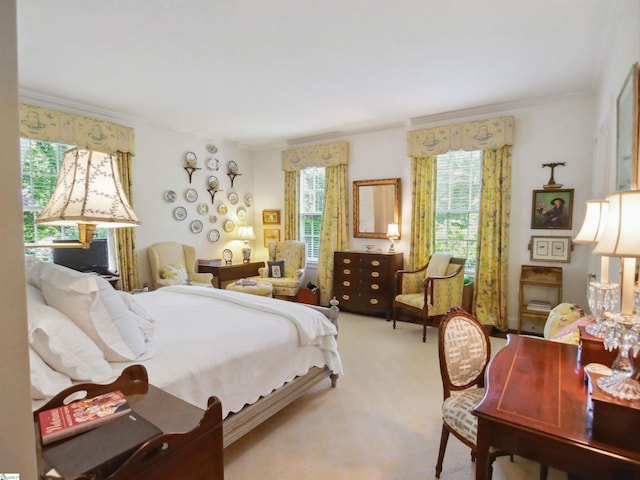117 Montgomery Dr, Spartanburg, SC 29302 - bedroom featuring crown molding, multiple windows, and carpet flooring