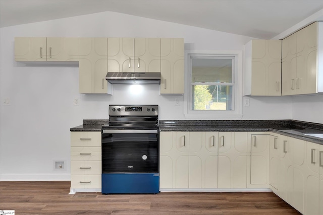 402 Laurel And Hardy Lake Rd, Marietta, SC 29661 - kitchen featuring stainless steel electric stove, under cabinet range hood, vaulted ceiling, dark wood-type flooring, and baseboards