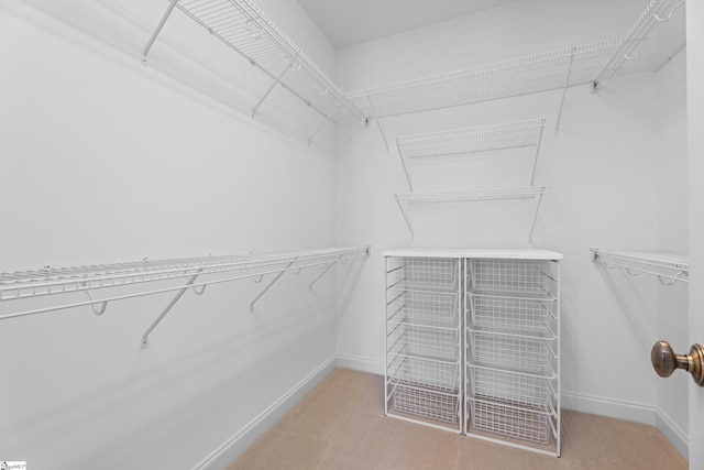 404 N Tidewater Trl, Inman, SC 29349 - spacious closet with carpet flooring