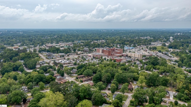 208 Arlington Avenue Unit A And B, Anderson, SC 29621 - aerial view
