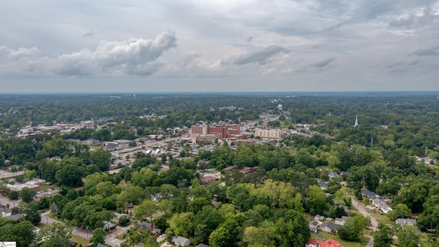 208 Arlington Avenue Unit A And B, Anderson, SC 29621 - drone / aerial view of a heavily wooded area