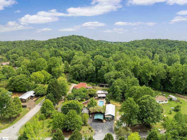 298 Stamey Valley Rd, Travelers Rest, SC 29690 - drone / aerial view of a heavily wooded area