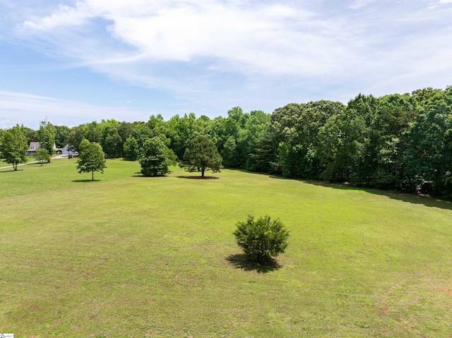 112 Scruggs Ln, Gaffney, SC 29341 - view of green lawn