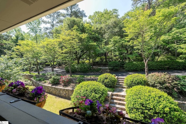 212 Middleton Shores Dr, Anderson, SC 29621 - view of yard