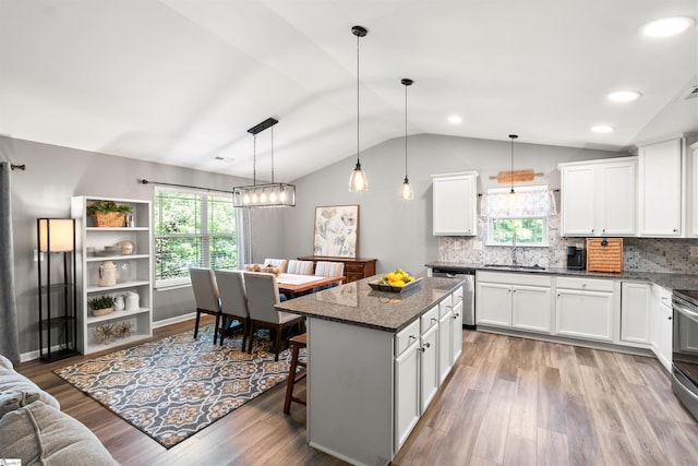 45 Lake Harbor Ct, Greer, SC 29651 - kitchen featuring dishwasher, lofted ceiling, plenty of natural light, a sink, and wood finished floors