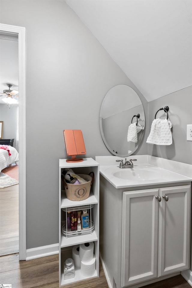 45 Lake Harbor Ct, Greer, SC 29651 - bathroom with vanity, wood finished floors, a ceiling fan, and baseboards