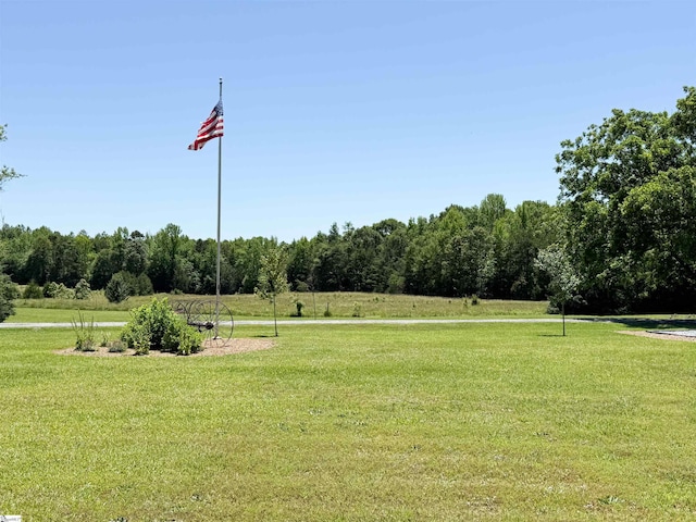 6050 Cross Anchor Rd, Enoree, SC 29335 - surrounding community featuring a yard