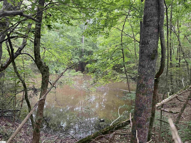 6050 Cross Anchor Rd, Enoree, SC 29335 - view of tree filled area