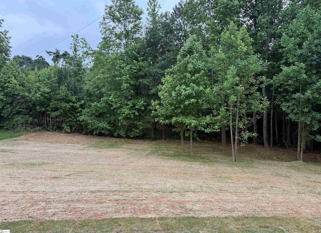 1623 Fairfield Rd, Chesnee, SC 29323 - view of yard